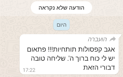 כדורית כח, ברזל, אנרגיה – תמונה 11