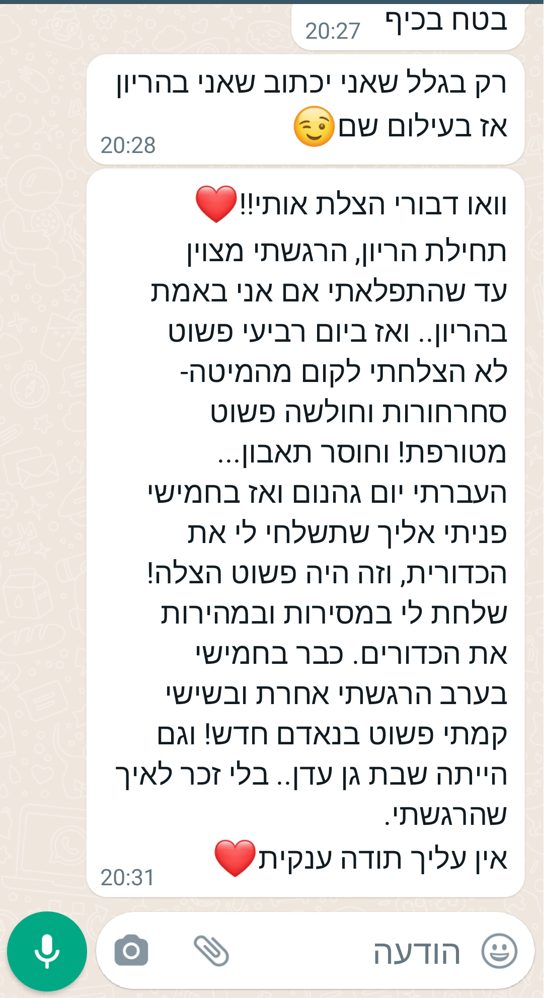 כדורית כח, ברזל, אנרגיה – תמונה 10